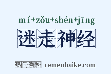 迷走神经是什么意思的图片